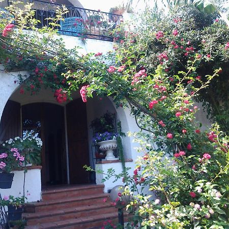 B&B Villa Piera Montecucco Stintino Ngoại thất bức ảnh