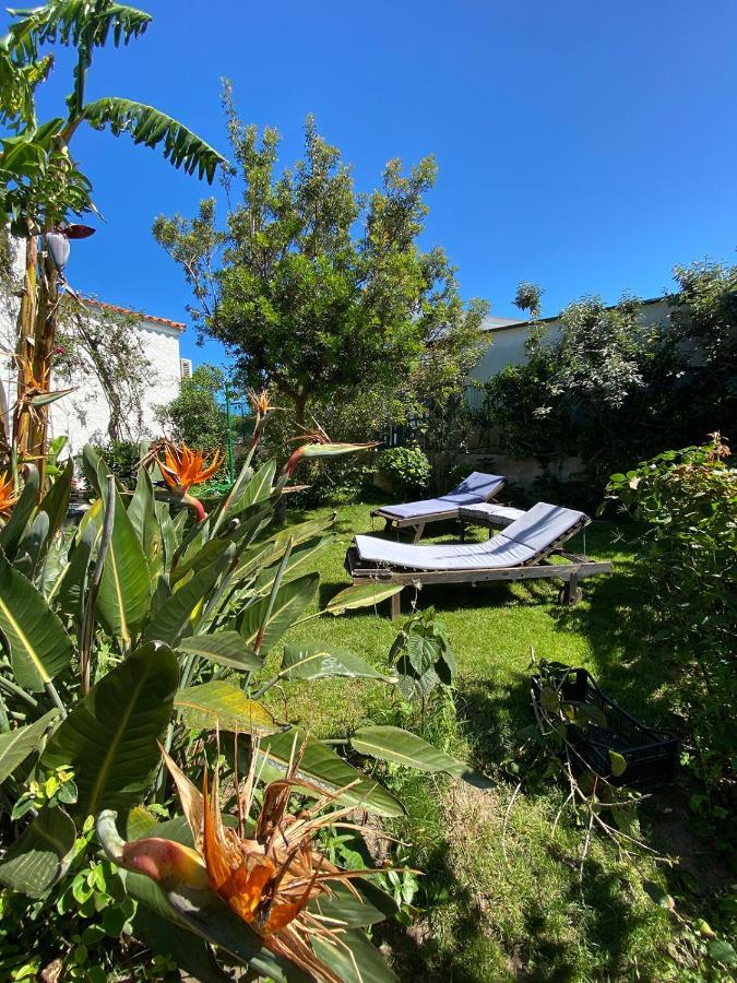 B&B Villa Piera Montecucco Stintino Ngoại thất bức ảnh